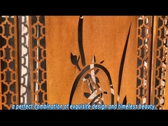 Специализированная толщина Модернные экраны из стальной стали Лист OEM / ODM