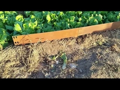 Граница 1SGS 000mm*1.6mm*100mm гальванизированная Corten стальная окаймляя выпушку лужайки Corten